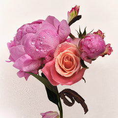 Scent Layering Trio O4